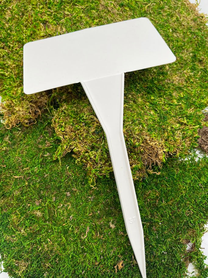 stkae3.jpg?v=1738162068&width=600