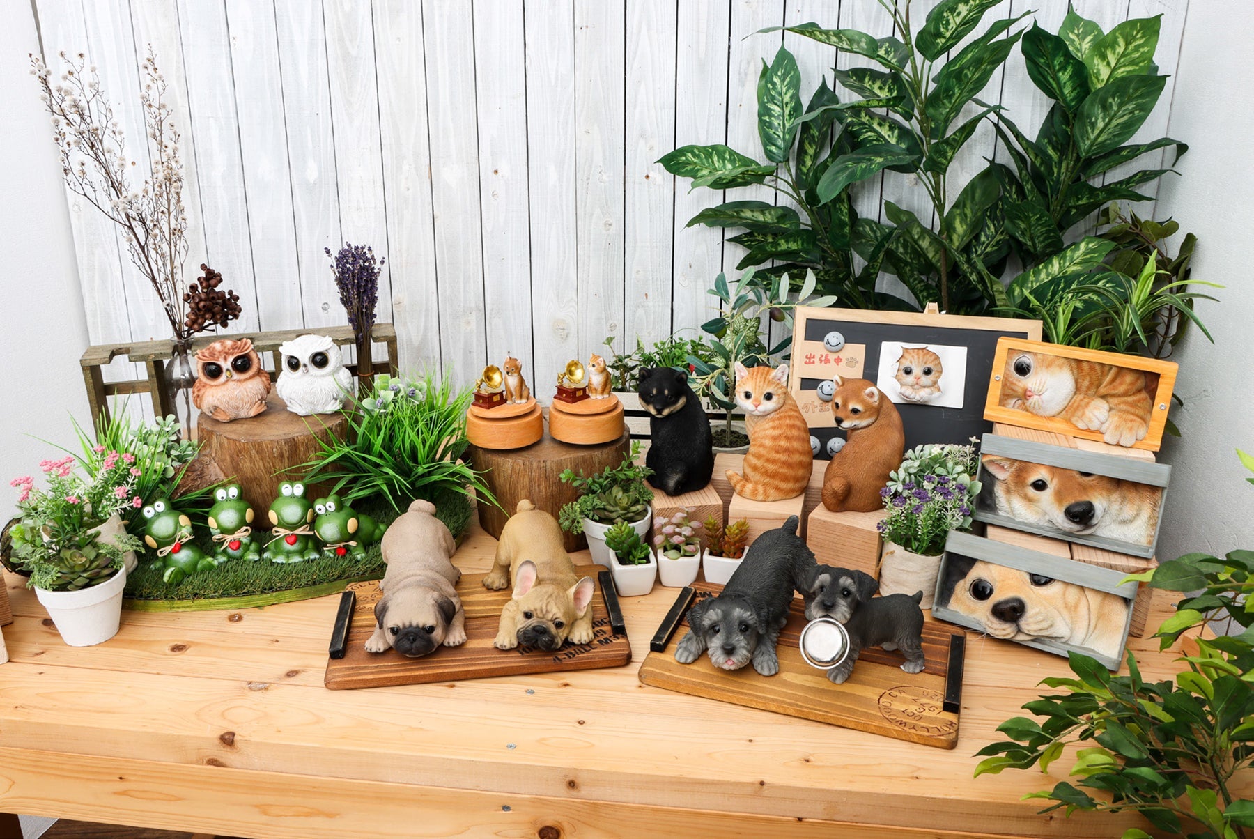 南壽あさ子 オルゴール Forget me not 限定品 南壽あさ子 オルゴール