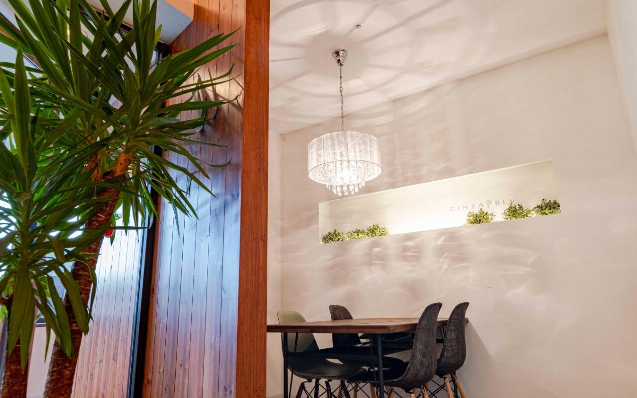 エステサロン GINZA BLV(ギンザブルー) 店舗一覧