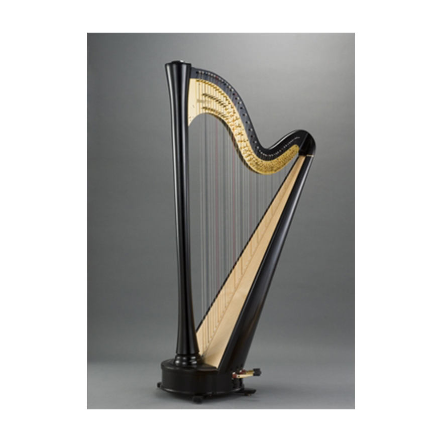 Aoyama Harp | ハープセレクション・ショールーム・展示販売 | 銀座十字屋
