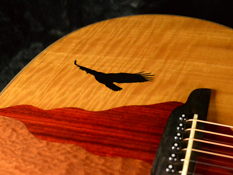 Luna Guitars - Vista Series | ギタープラネット | 御茶ノ水 楽器の