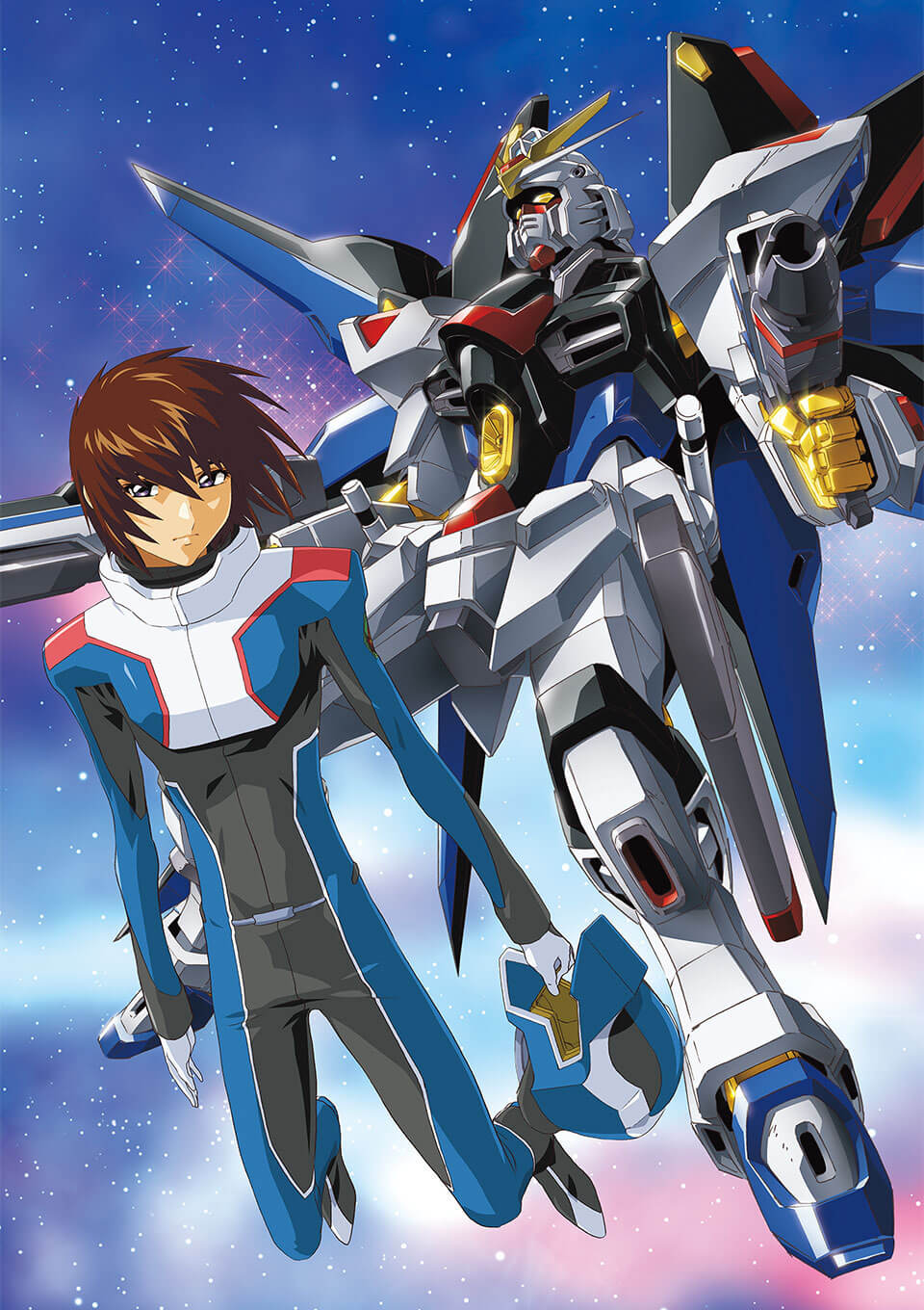 機動戦士ガンダムSEED DESTINY | 機動戦士ガンダムSEEDシリーズ公式サイト