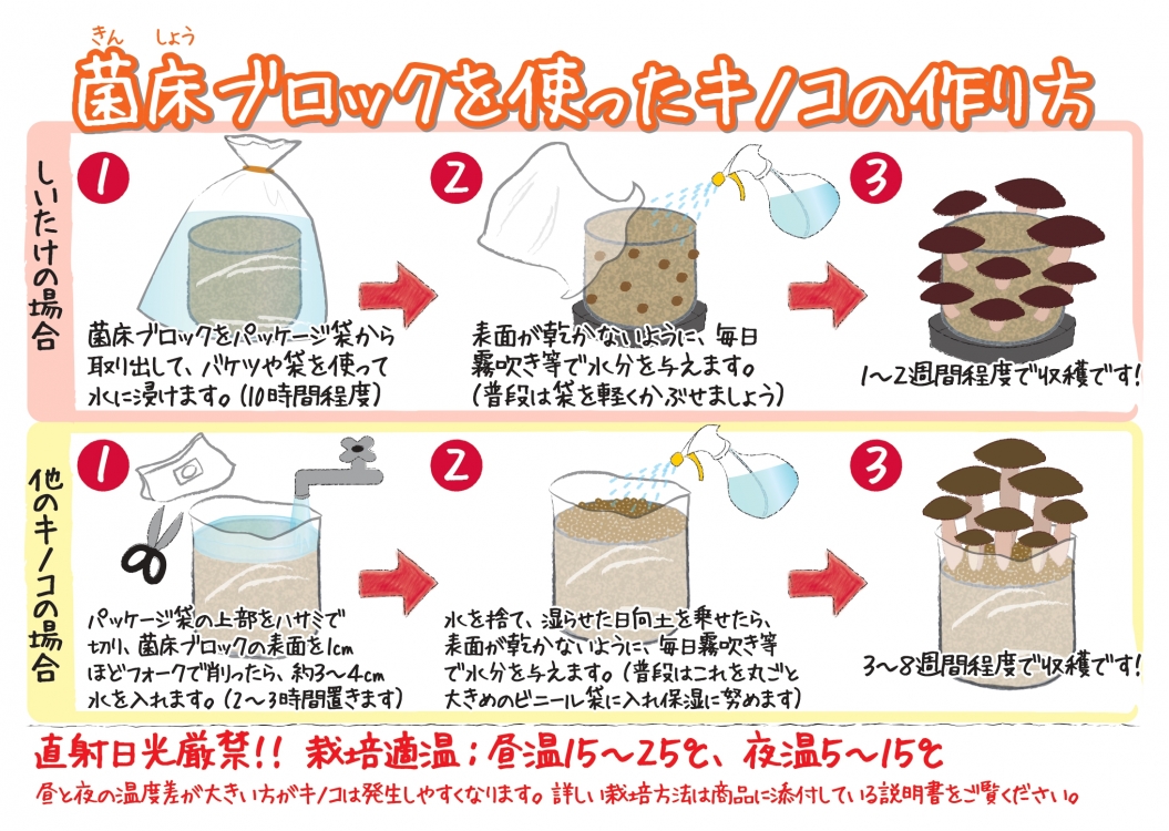 でるまっしゅ きのこ栽培キット | グラントマト株式会社公式サイト