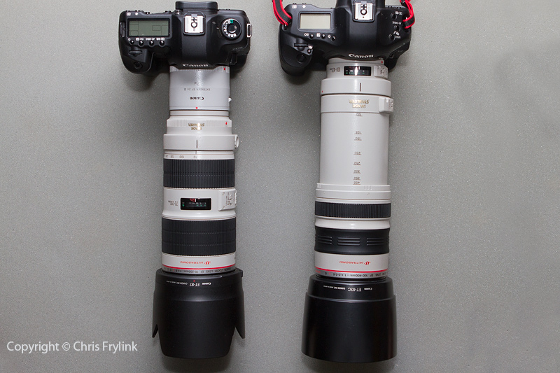 Compared, the Canon EF100-400L and the Canon EF 70-200 f2.8L IS II