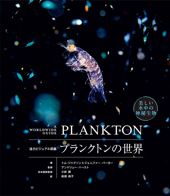 グラフィック社