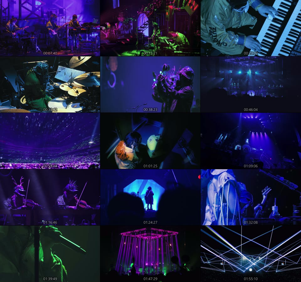 ずっと真夜中でいいのに。ZUTOMAYO FACTORY「鷹は飢えても踊り忘れず