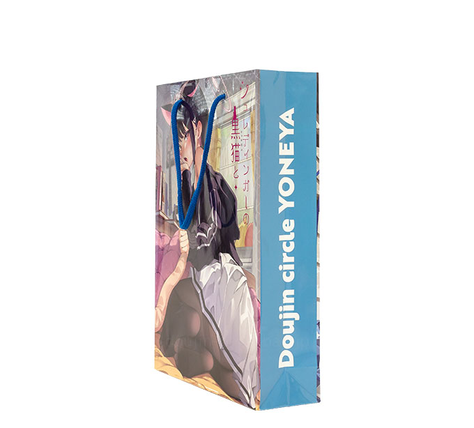 C105-064 オリジナル紙袋