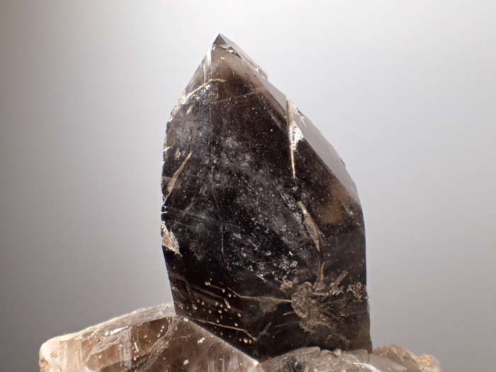 岐阜県ちんの峠産 煙水晶 (Smoky Quartz / Japan) - 鉱物標本販売店