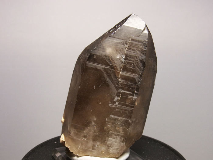 滋賀県田上山産 煙水晶 (Smoky Quartz / Japan) - 鉱物標本販売店