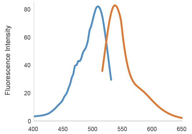 ミトコンドリア内鉄イオン検出試薬 Mito-FerroGreen | CAS - 同仁化学