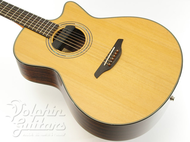 ドルフィンギターズ アコースティックギター・ウクレレ販売
