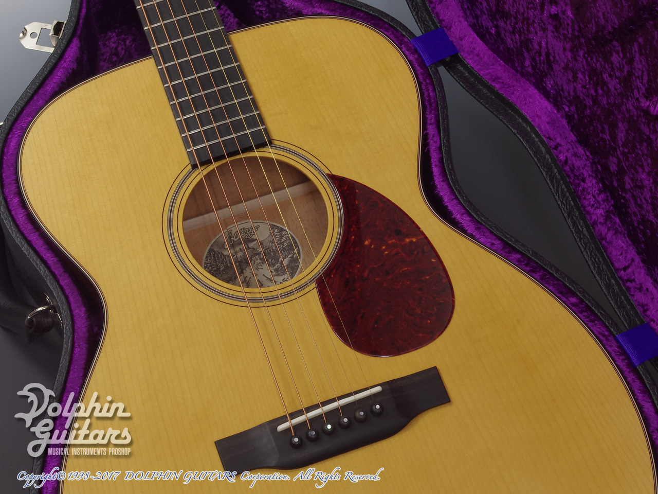 ドルフィンギターズ アコースティックギター・ウクレレ販売