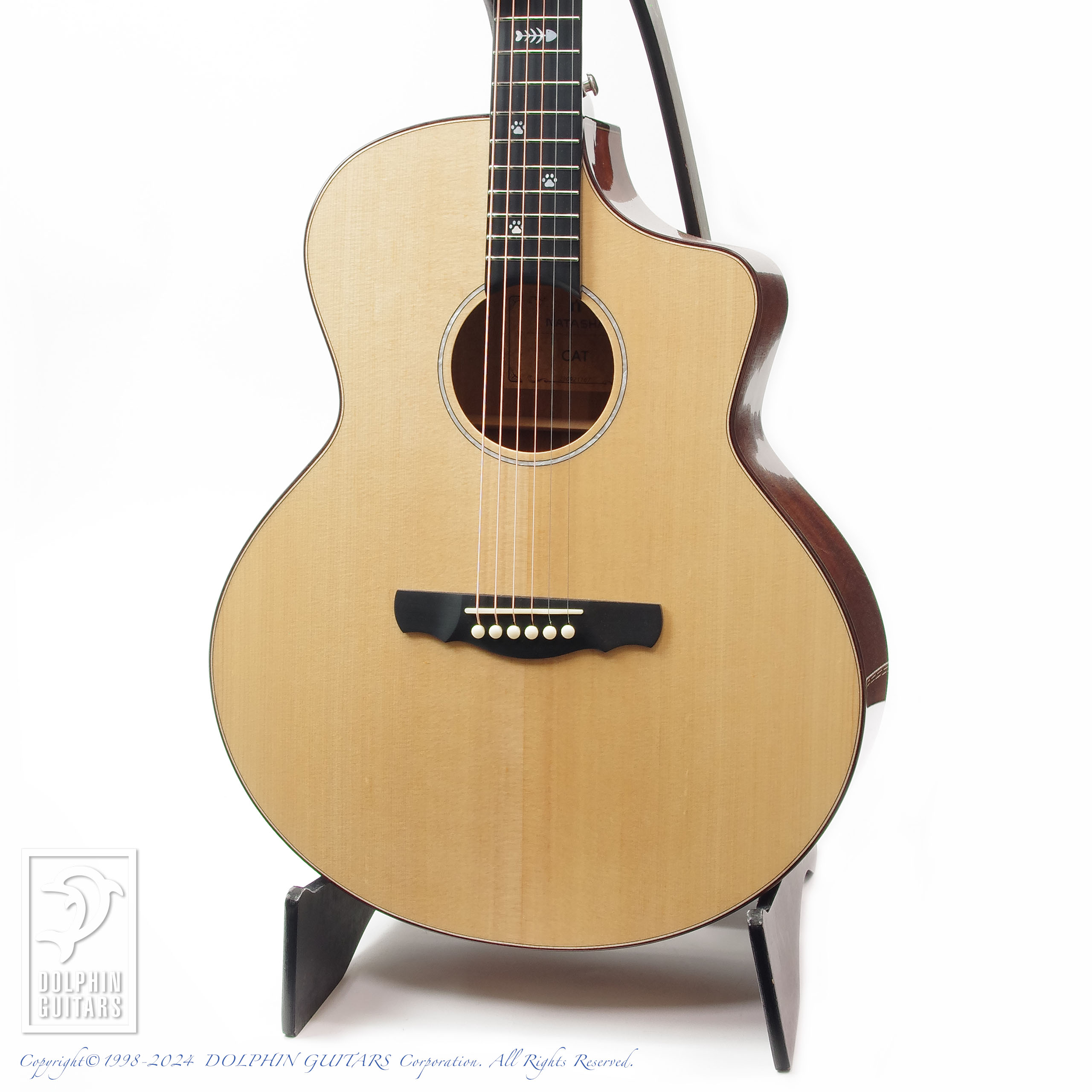 NATASHA CAT|ドルフィンギターズ