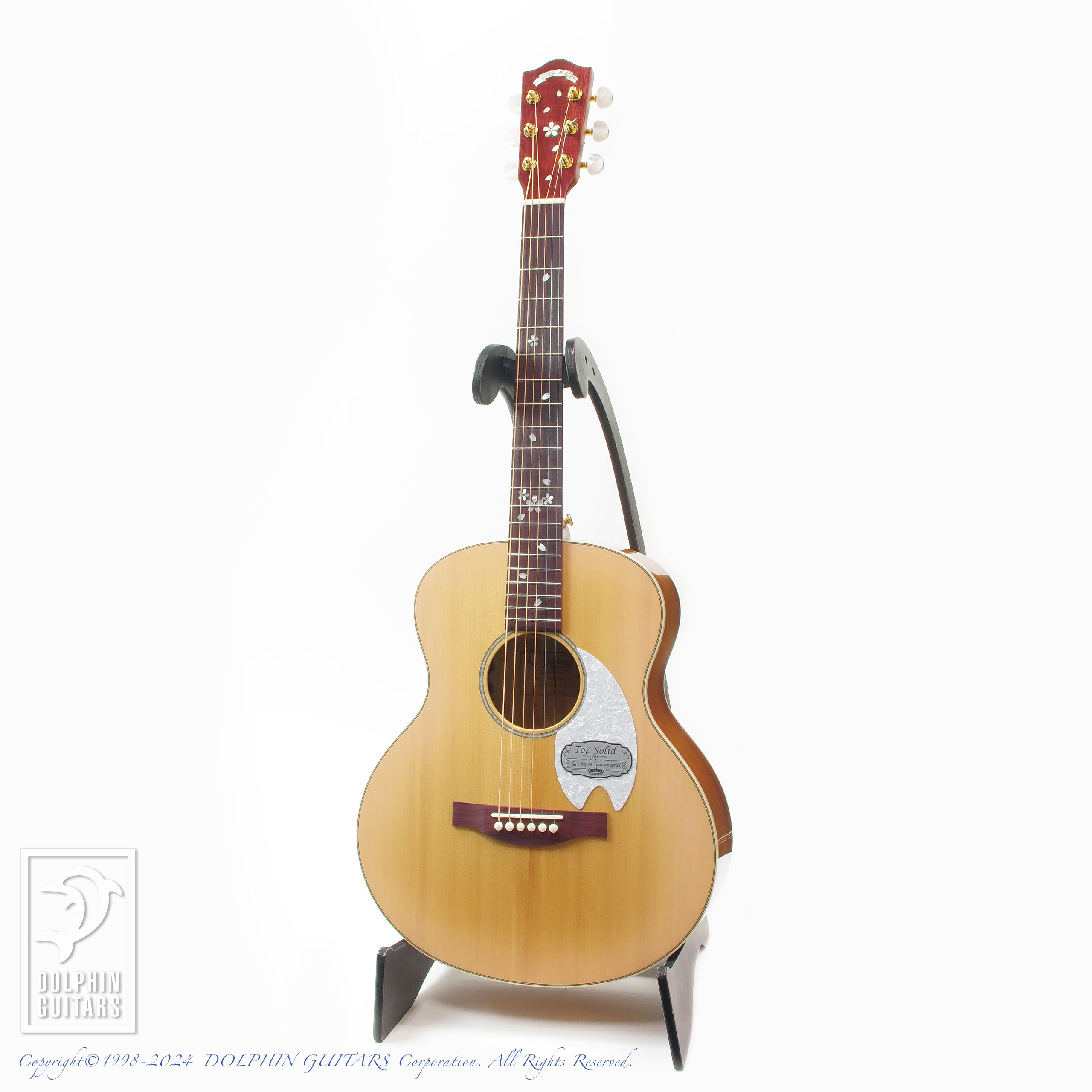 HEADWAY HTJ-SAKURA|ドルフィンギターズ