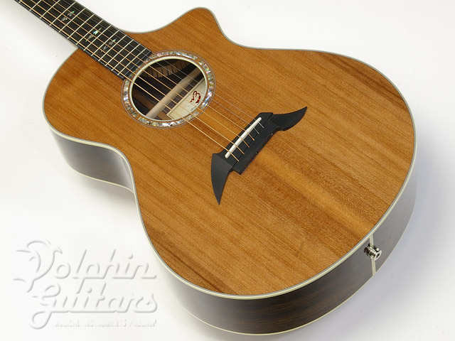 Breedlove Focus SE|ドルフィンギターズ
