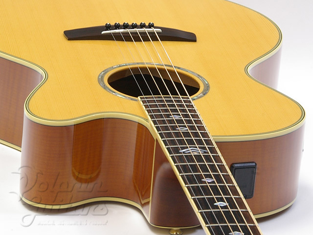 YAMAHA CPX-900|ドルフィンギターズ