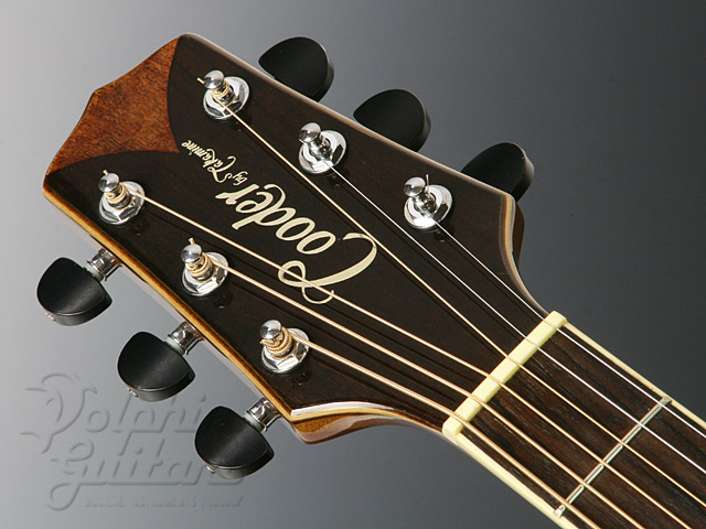 Cooder by Takamine TCP-560|ドルフィンギターズ
