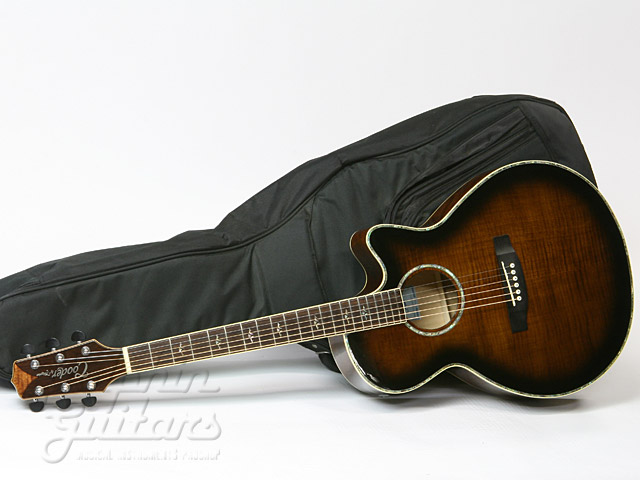 Cooder by Takamine TCP-560|ドルフィンギターズ