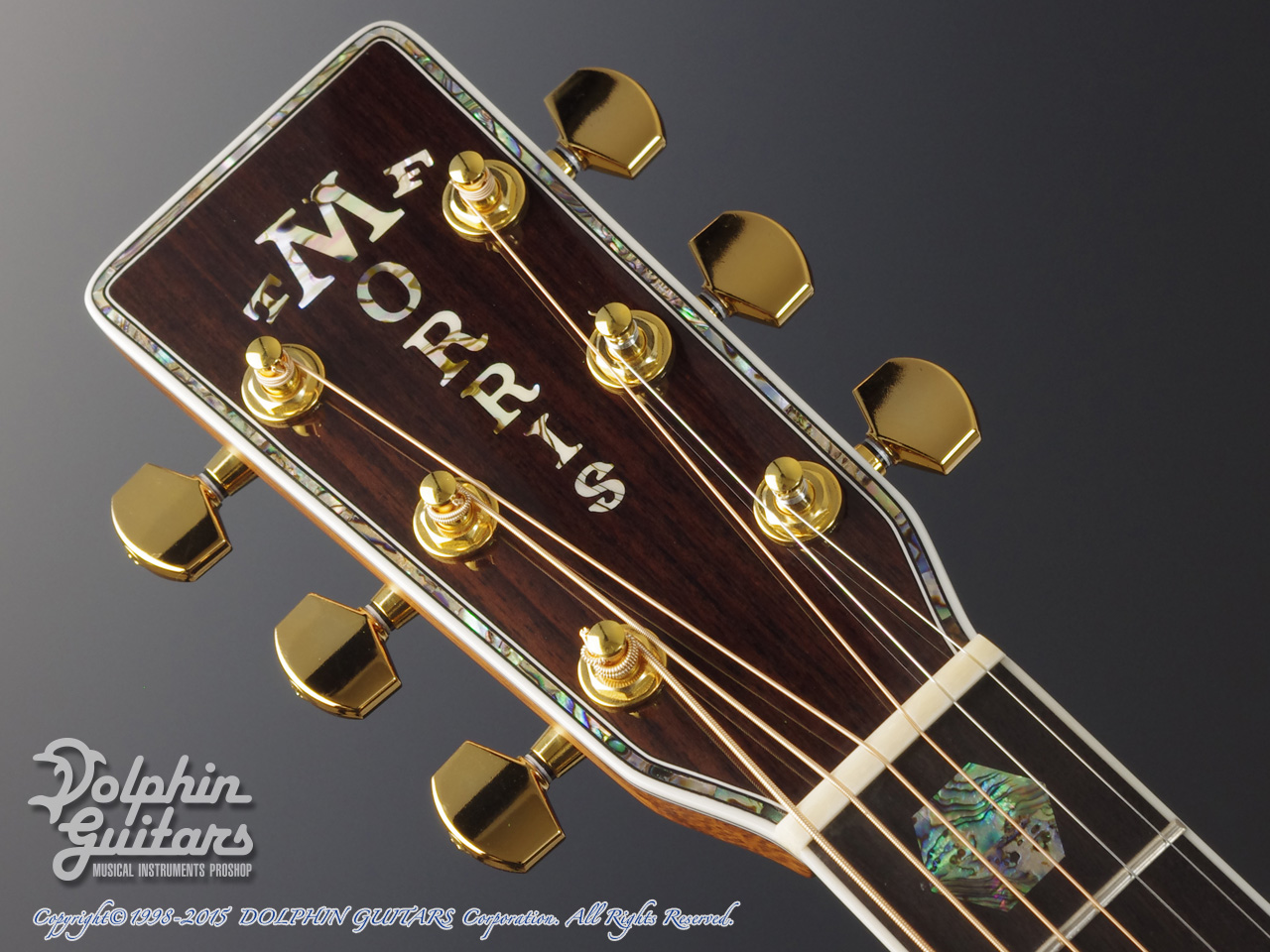 MORRIS 50th Anniversary Premium|ドルフィンギターズ