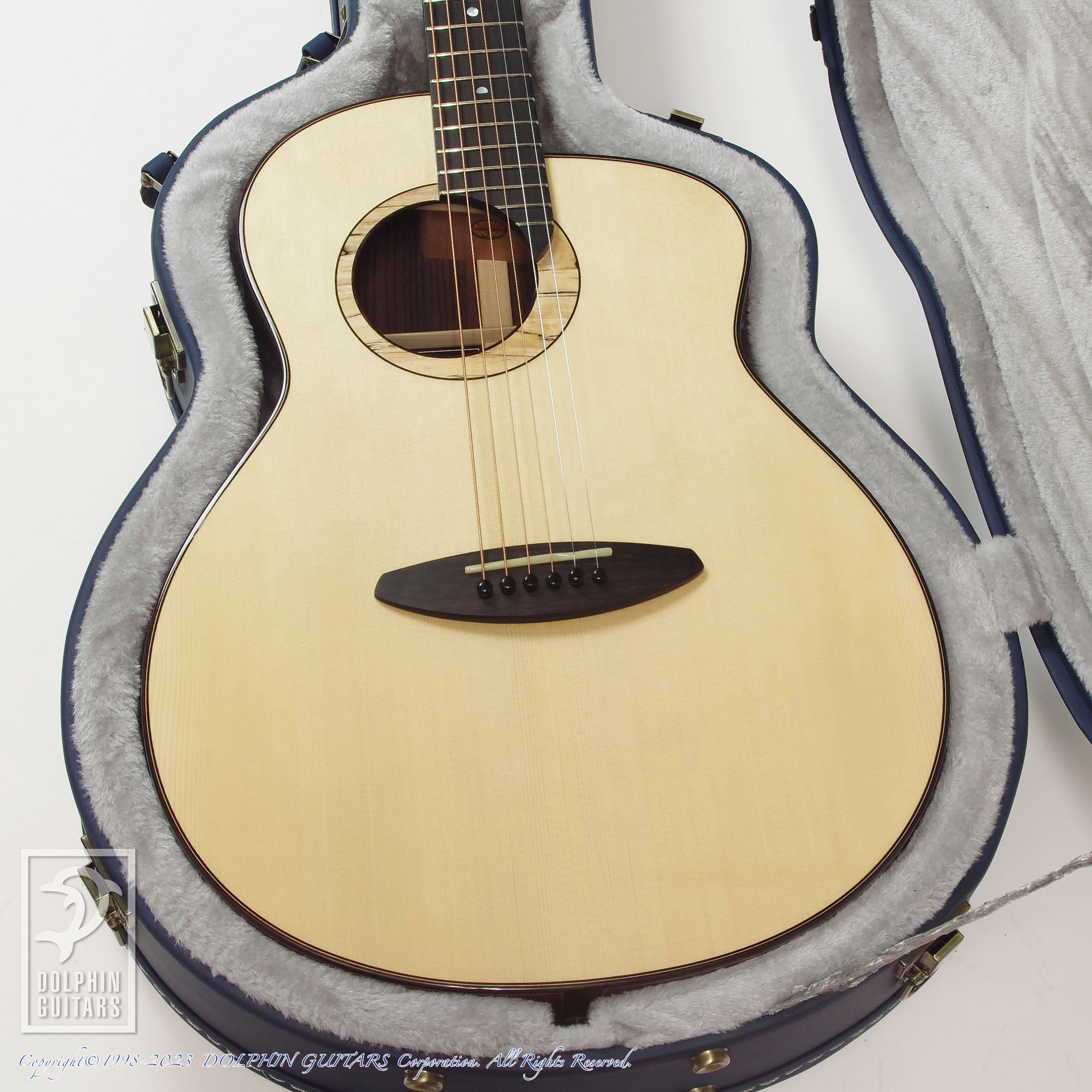 aNueNue LS600 Designed by Sugita Kenji|ドルフィンギターズ