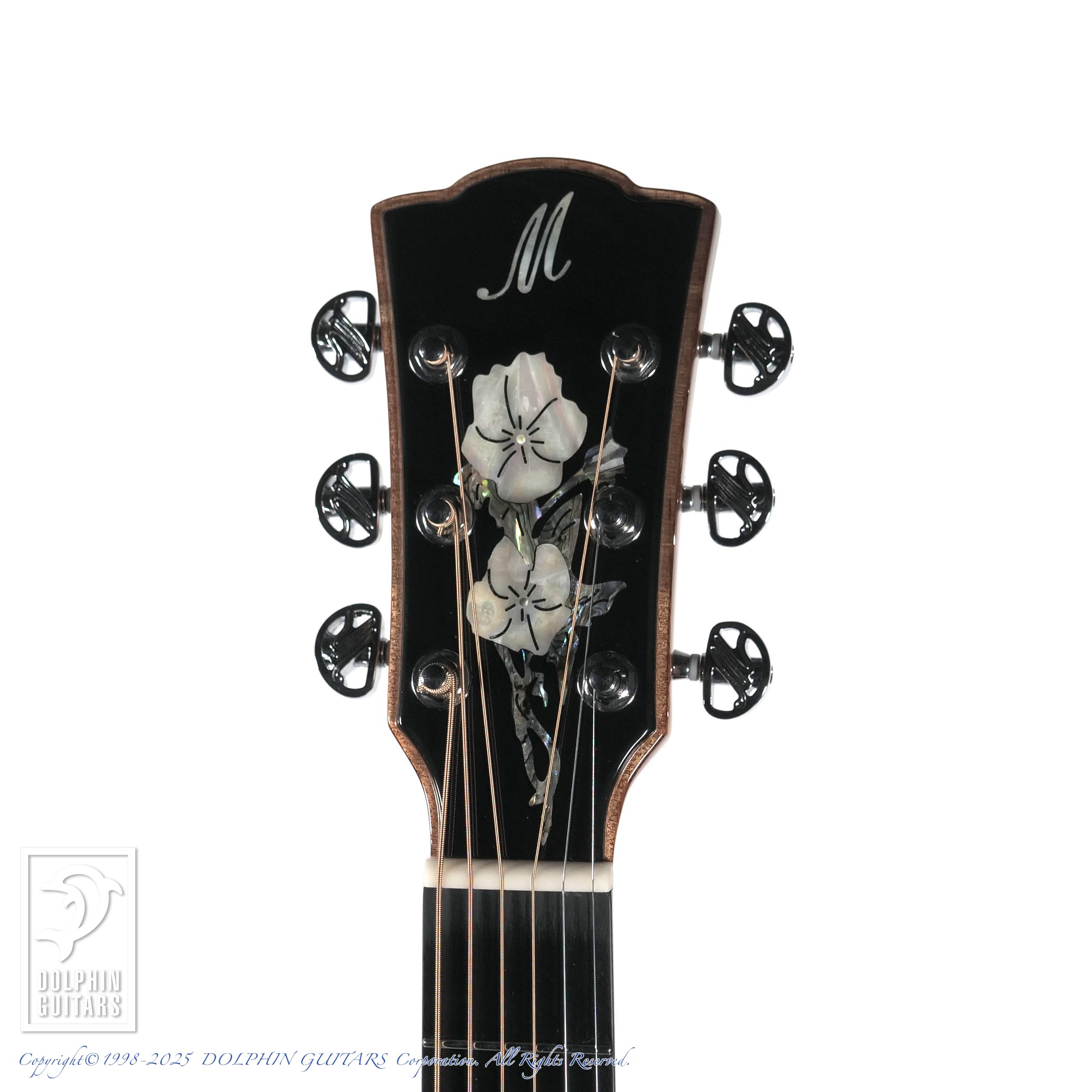 Merida A18GAC2|ドルフィンギターズ