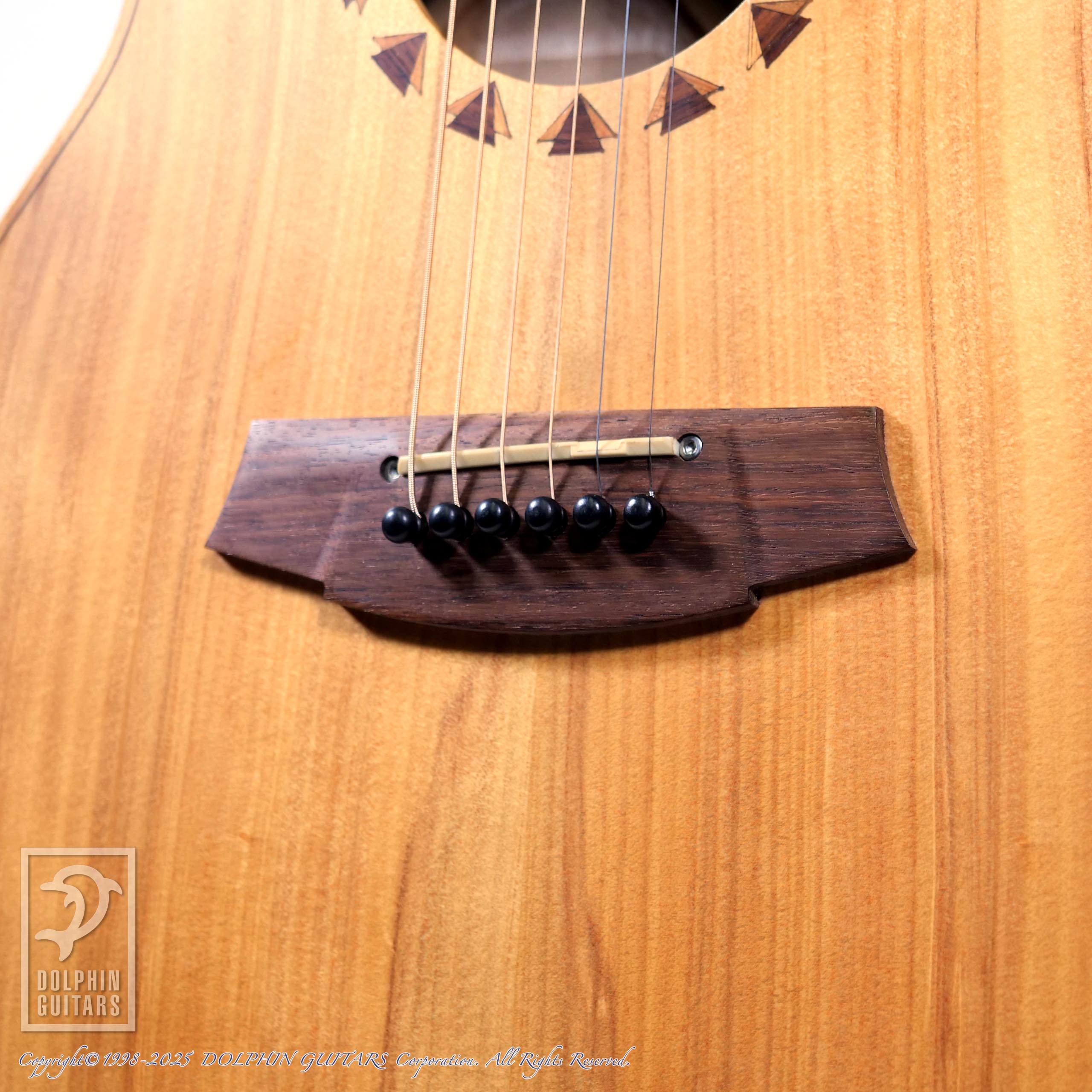 COLE CLARK AN2AC|ドルフィンギターズ