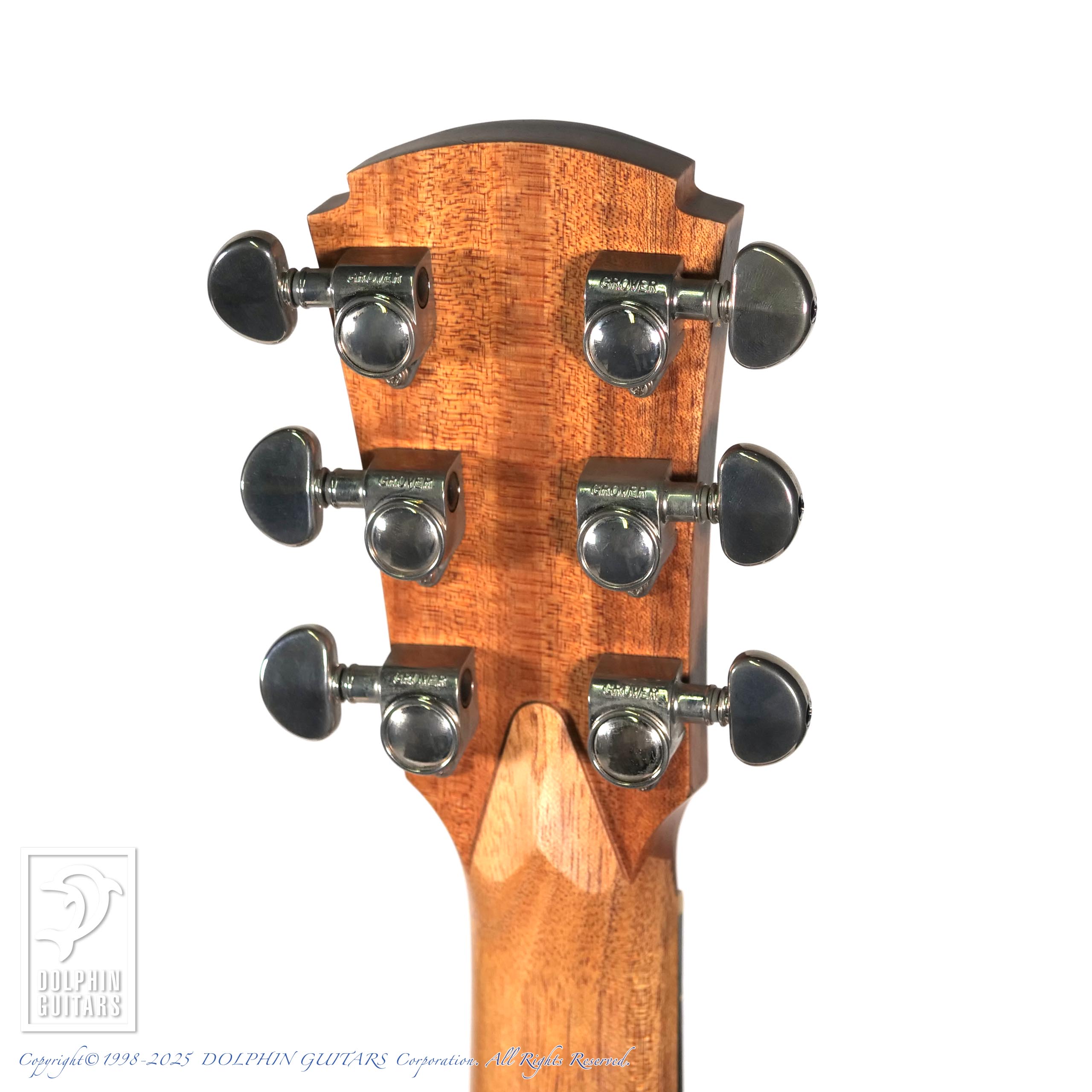 COLE CLARK AN2AC|ドルフィンギターズ