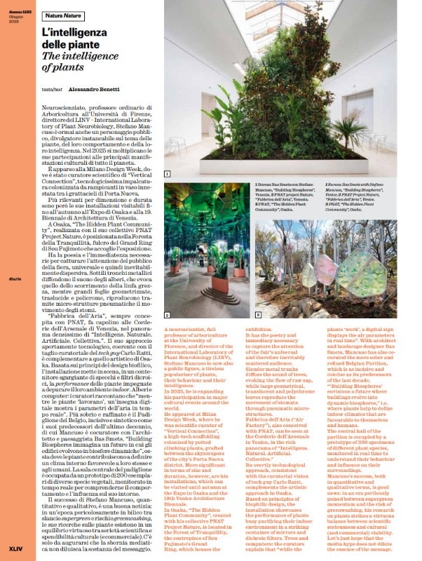 Domus 1102 hits the shelves - Domus