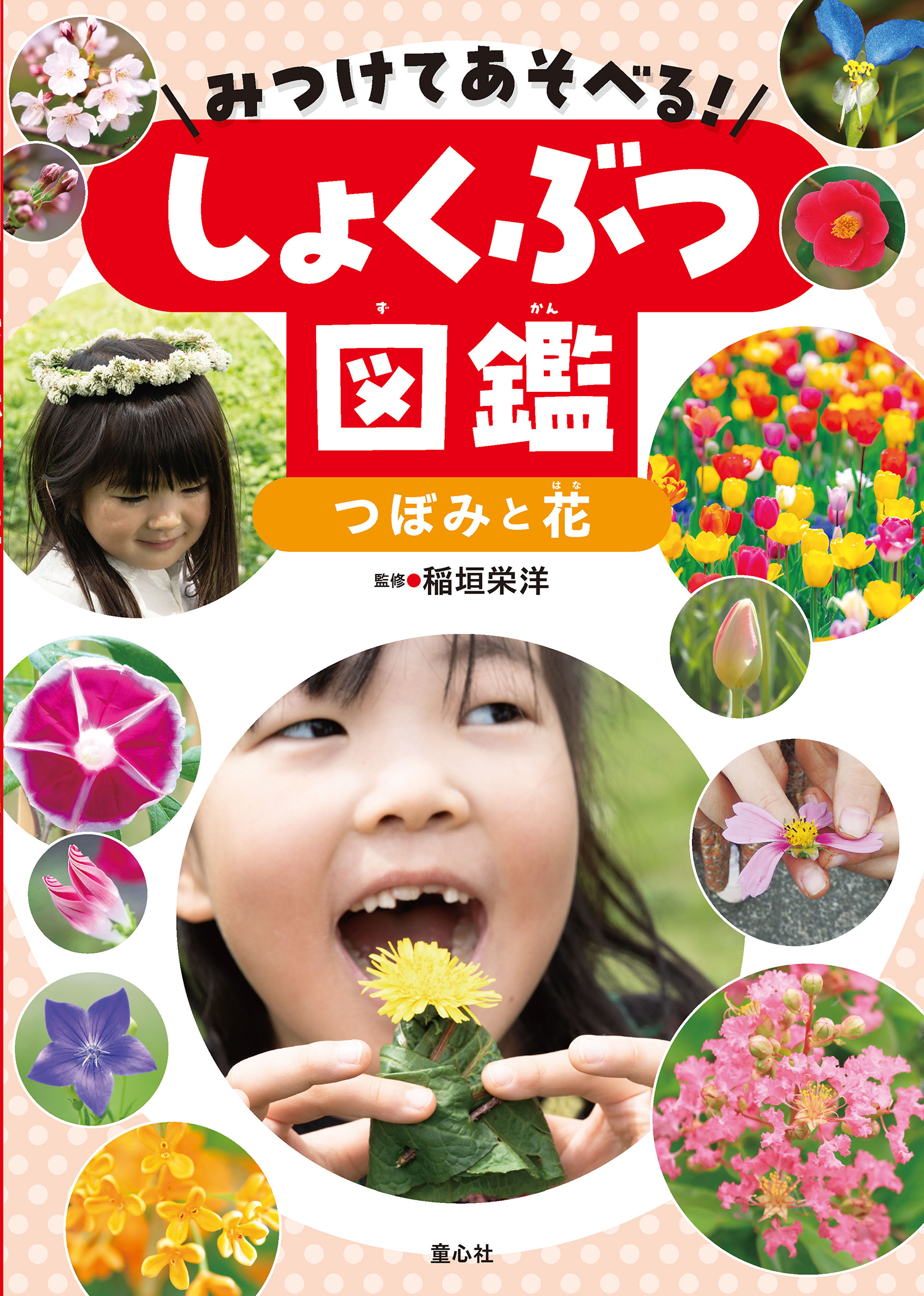 みつけてあそべる！ しょくぶつ図鑑（全4巻） ：稲垣栄洋 - 童心社