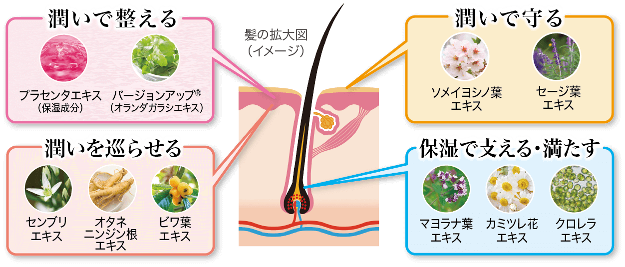 DRデヴィアス ヘアエッセンス GF X｜ドクターデヴィアス化粧品