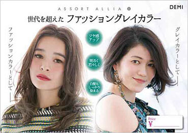 ASSORT ALLIA Sプロモーションツール：サロンサポート｜デミ