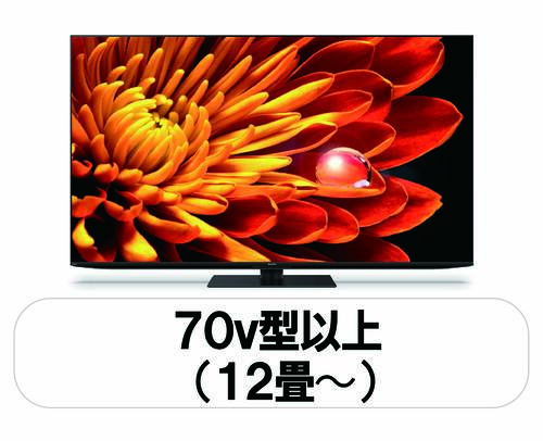 デンキチWeb / テレビ
