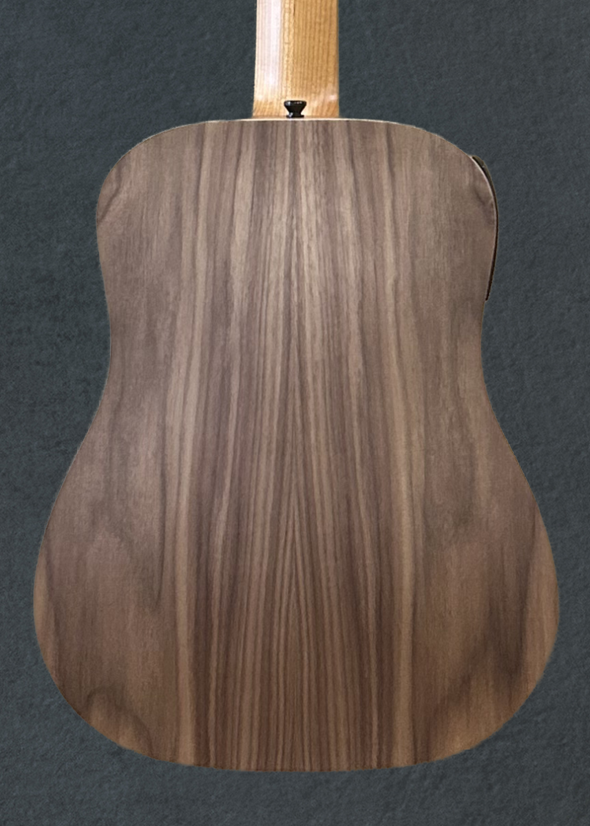 Baby Taylor (BT1E) '25 – Dave's Guitar Shop