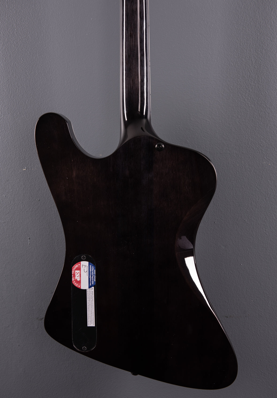 LTD Phoenix 1000 QM, '22 – Dave's Guitar Shop