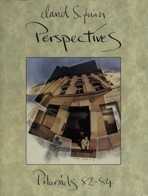 Perspectives - Polaroids 82-84 - David Sylvian : Expect Everything