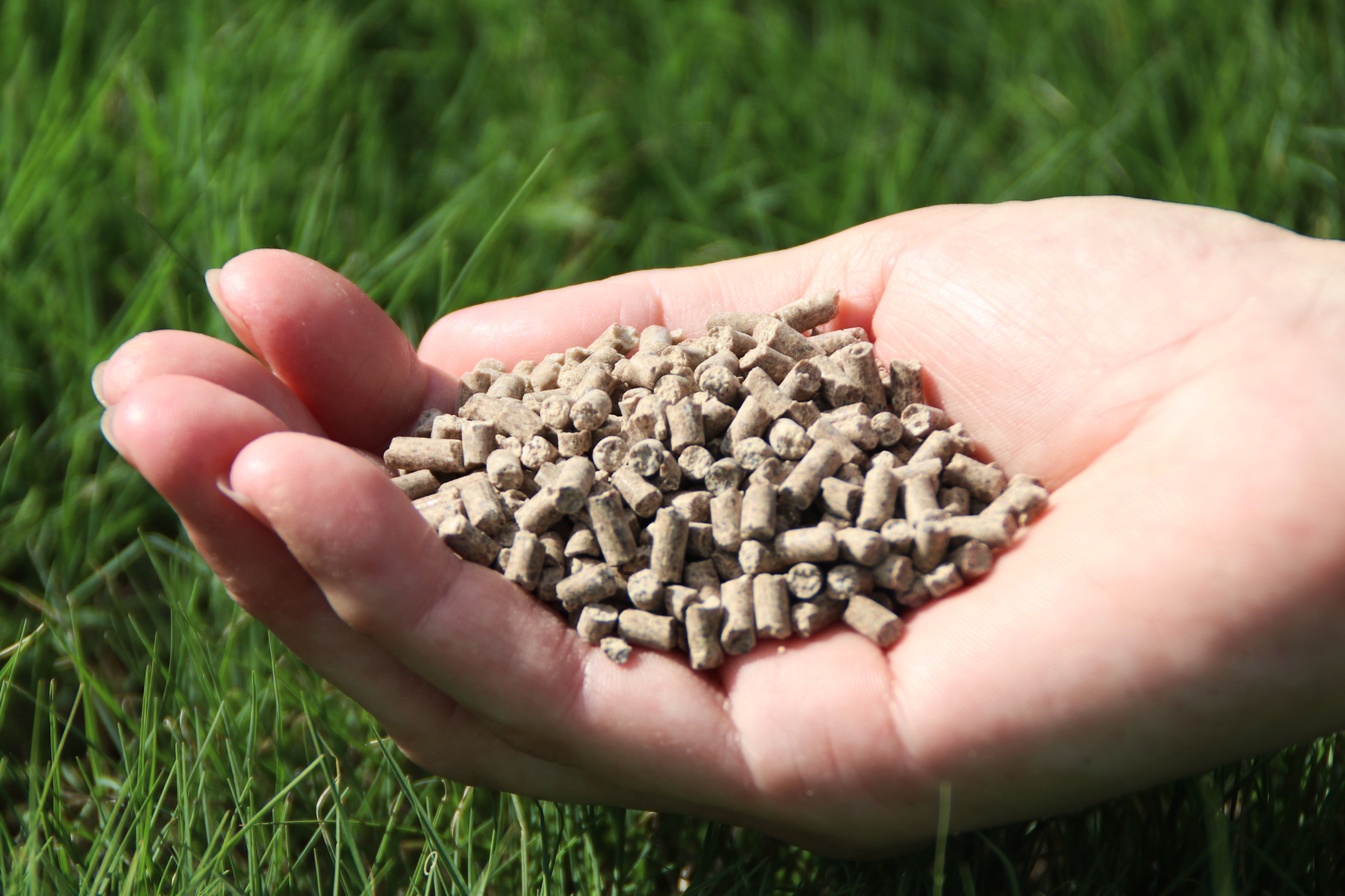 デビッド・オースチンの 「ローズフード1.6kg入り」 - David Austin