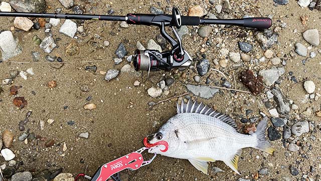 手軽にもっと釣りできる!!「シマノ ゾディアスパックロッド S70M-5」実