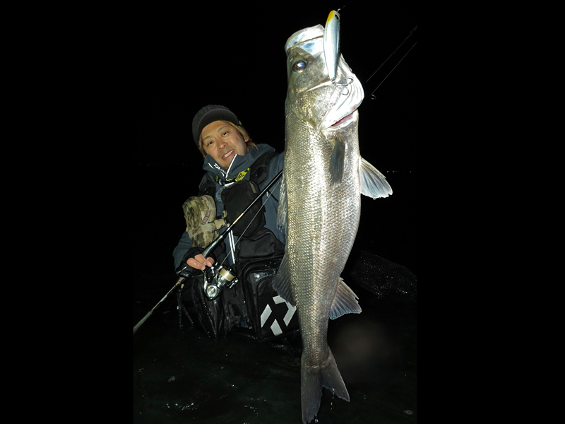 モアザン ブランジーノ CGS(ロッド)｜DAIWA