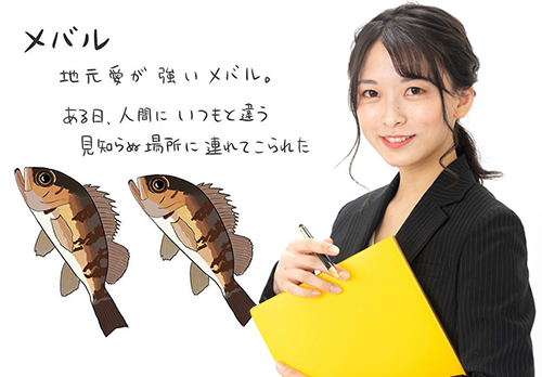 D.Y.F.Cトップページ｜DAIWA