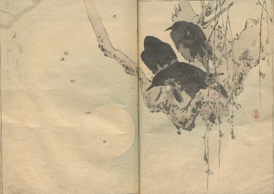 渡辺省亭の花鳥画譜 | NDLイメージバンク | 電子展示会