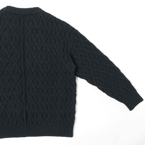 HARD TWIST MERINO ARAN KNIT P/O (A9AP01FM) | AURALEE / トップス