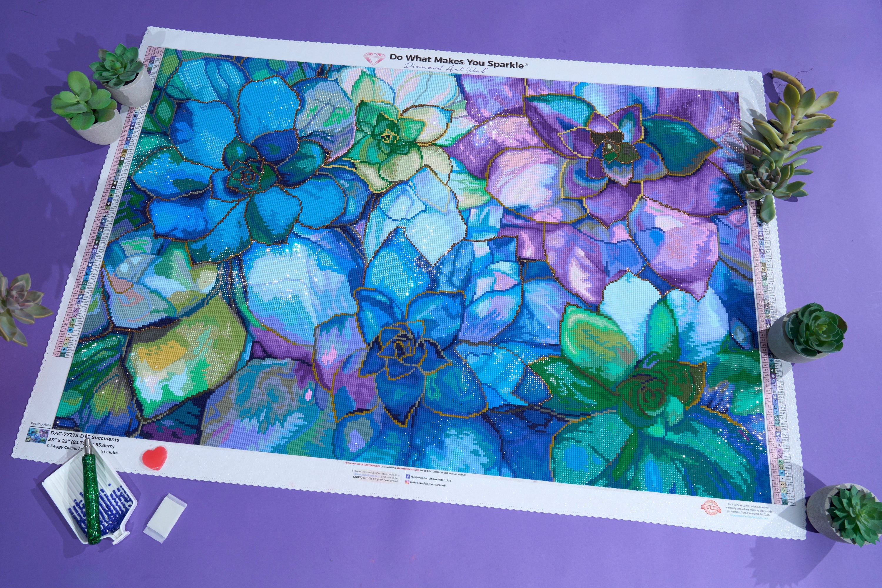 ダイヤモンドアートクラブ Beautiful Hummingbird DAC ダイヤモンド