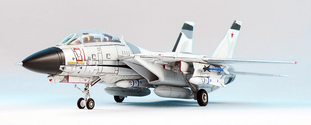 Grumman F-14A Red 31 Tomcatsky, 1:72, Calibre Wings CA72TP01-W