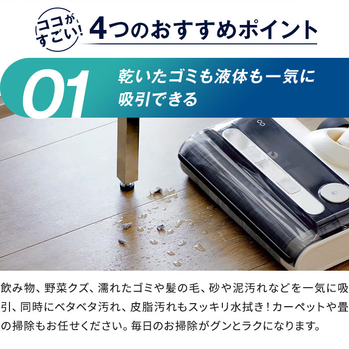 水拭き掃除機 アクアエックス ディノスANAmall店