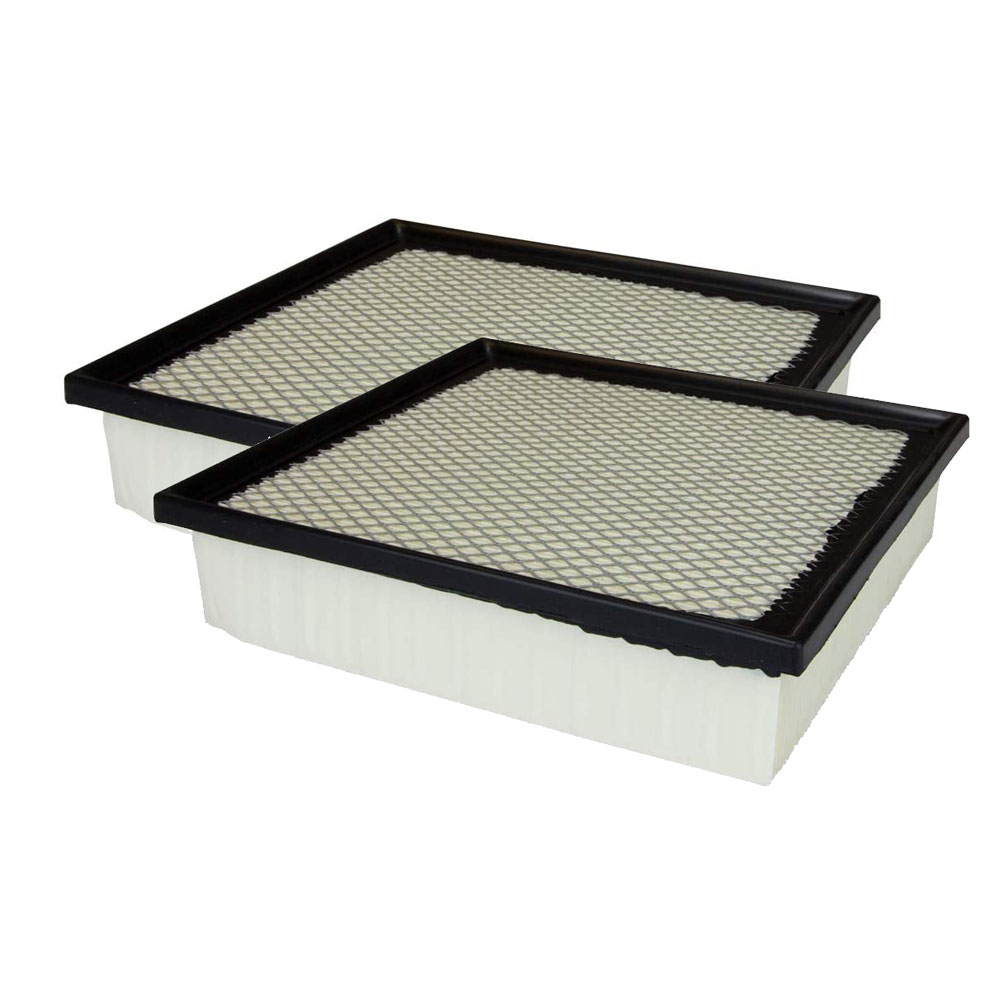 EcoGard XA6116 2pk | Automotive Engine Air | DiscountFilters.com