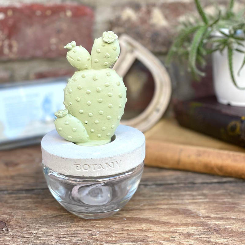 DULTON ONLINE SHOP | CACTUS FRAGRANCE DIFFUSER A ELEGANT PEONY(A