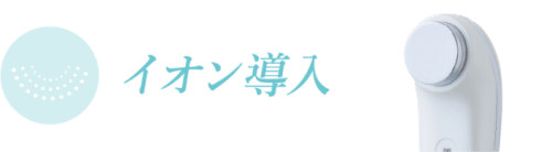 新発売】ホームケアの最上級美顔器「セルビースキン」｜ニュース