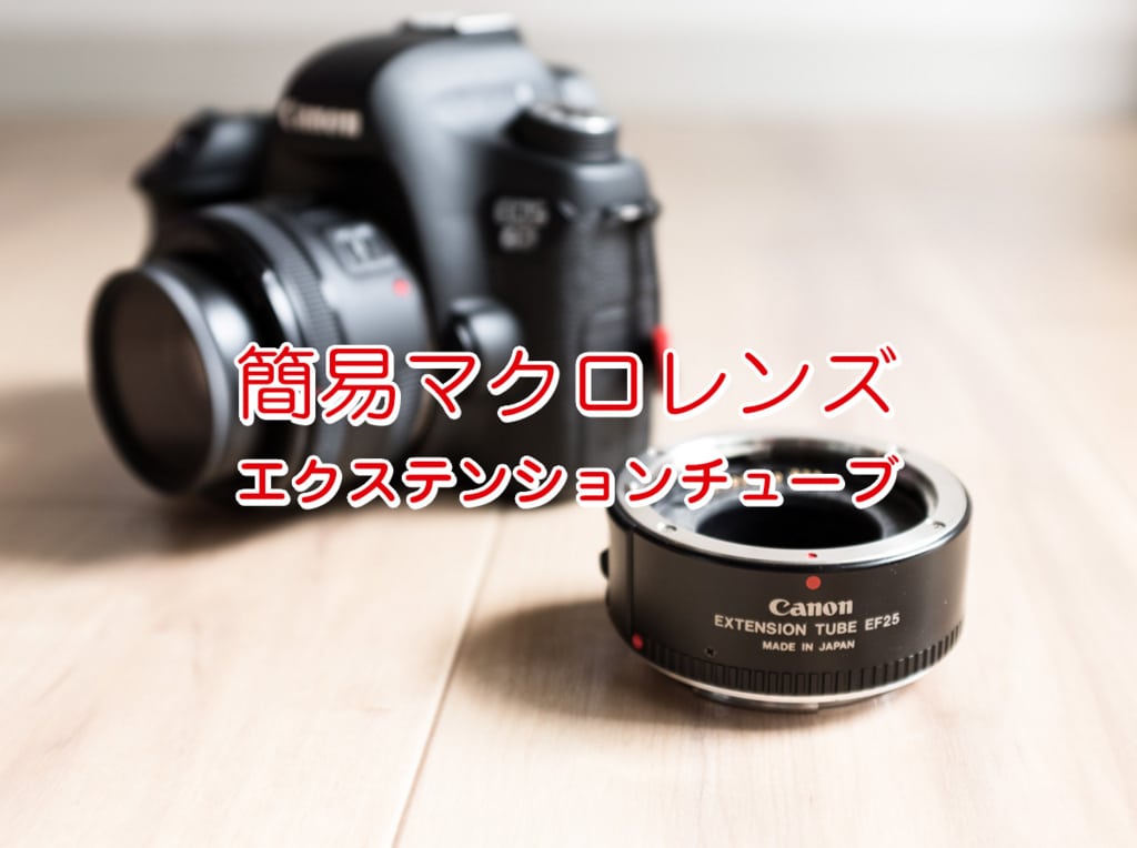 接写リングの使い方】簡易的にマクロ撮影を実現するエクステンション