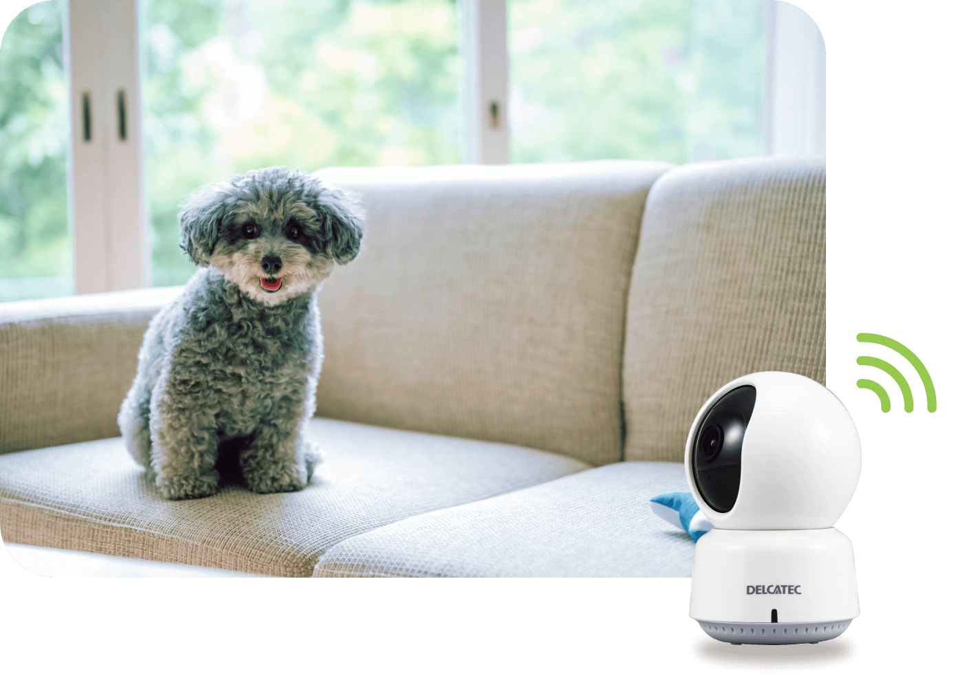 卓上みまもるカメラ｜DXアンテナ