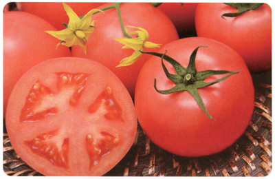 TYみそら86[トマト] - e-種や｜国内最大級の野菜種・花種・苗・農業
